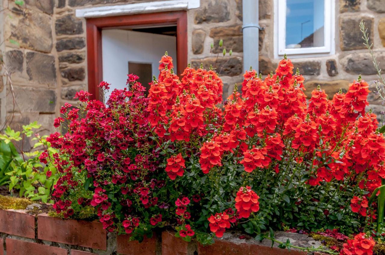 Chimes Cottage Guisborough Bagian luar foto